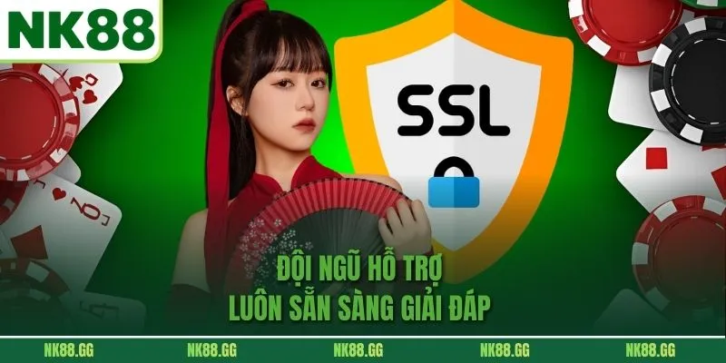 Đội ngũ hỗ trợ luôn sẵn sàng giải đáp